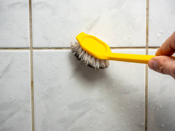 Best Mold Remediation  in Maple Park, IL