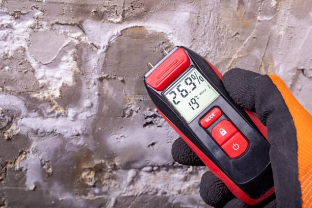Best Professional Mold Removal  in Maple Park, IL