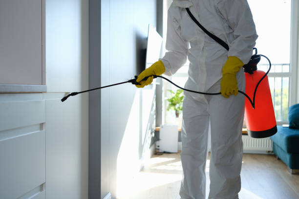 Home Mold Removal in Maple Park, IL