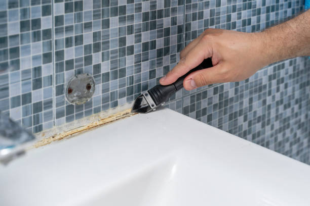 Best Office Mold Removal Services  in Maple Park, IL